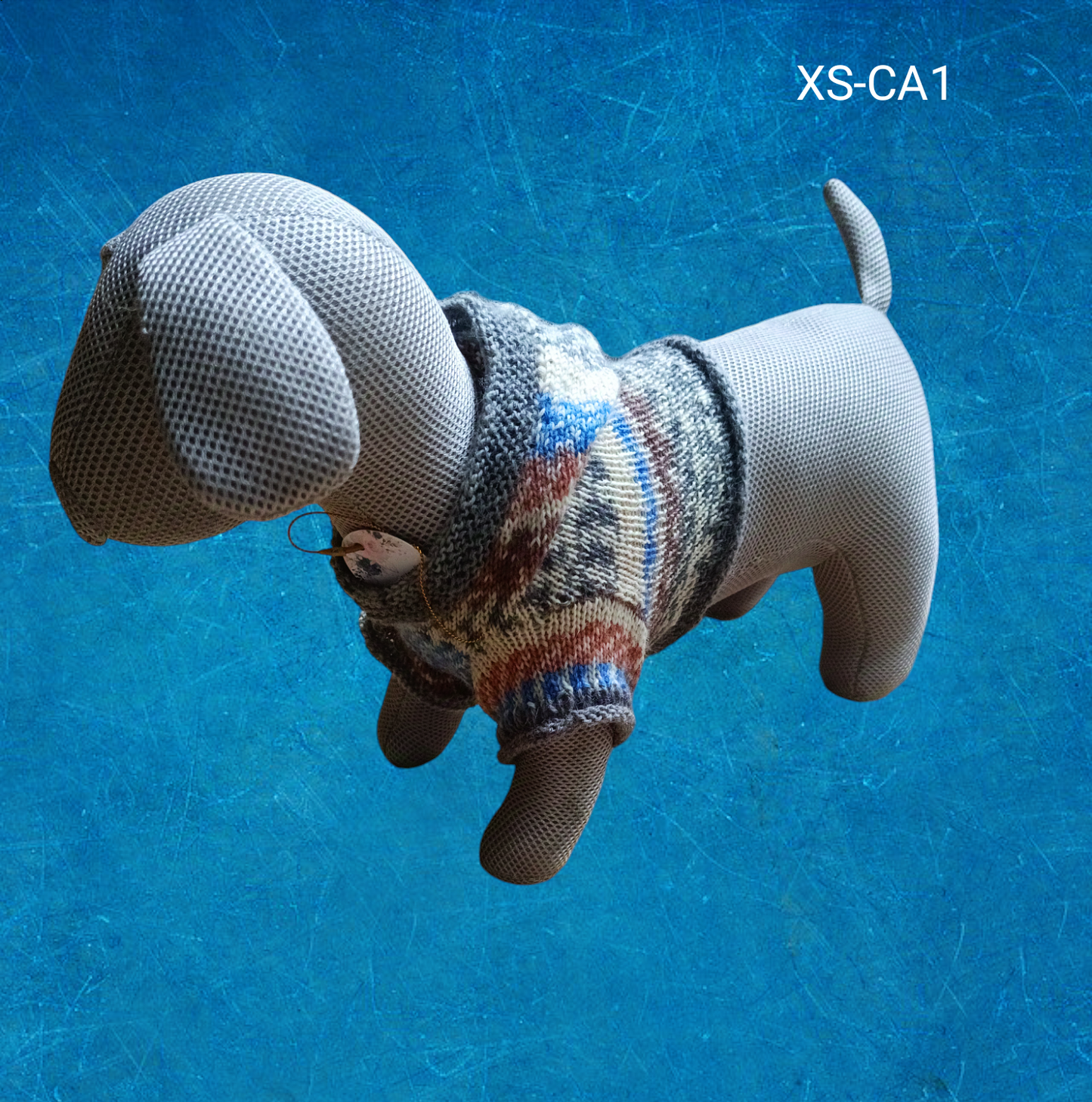 Pull fin et chaud chihuahua/petit chien