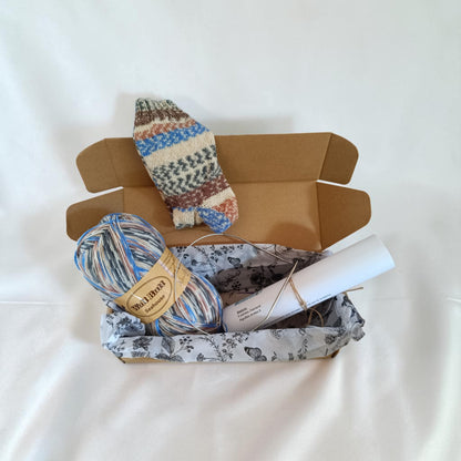 Kit à tricoter chaussettes